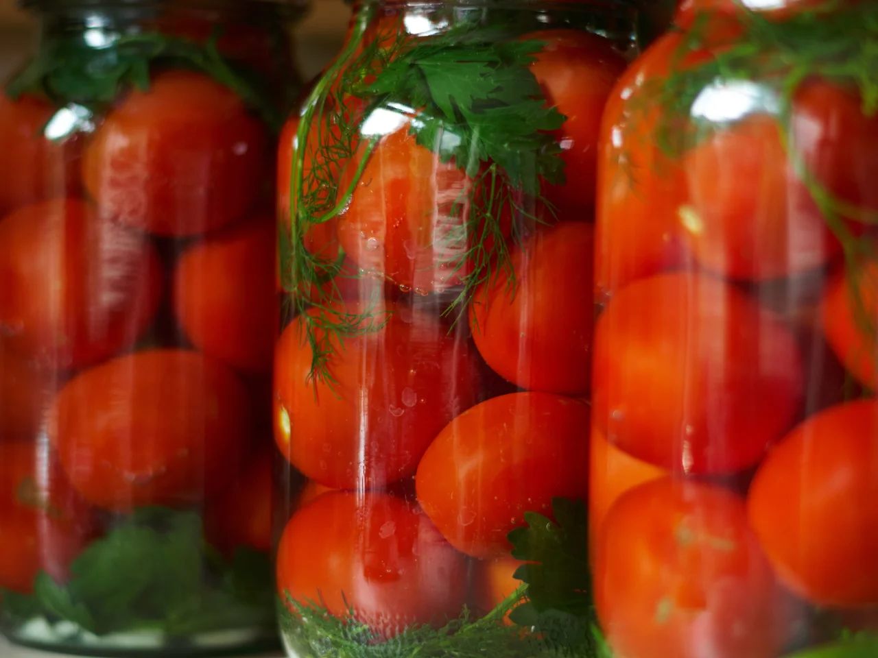 Kiszone pomidory - bomba witaminowa! Jak je zrobić?
