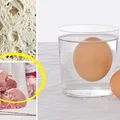 Zjeść czy wyrzucić? ŚWIEŻOŚĆ PRODUKTÓW. Sprawdź ją za pomocą tych trików!