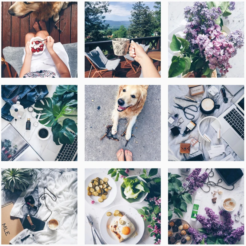 INSTAGRAM - MIGAWKI