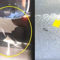 Dlaczego lepiej nie zostawiać BUTELKI Z WODĄ w samochodzie?