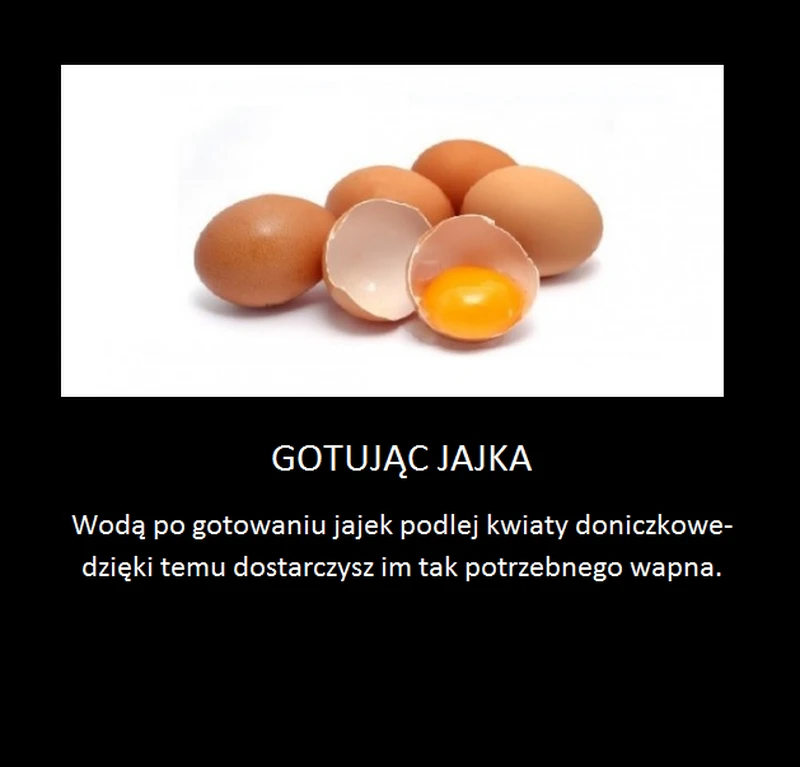 Pamiętaj o tym gotując jajka