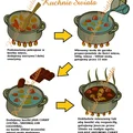 gulasz curry