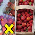 Jak rozpoznać polskie, dobre truskawki? Na to zwracaj uwagę