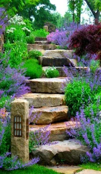 Piękne kamienne schody