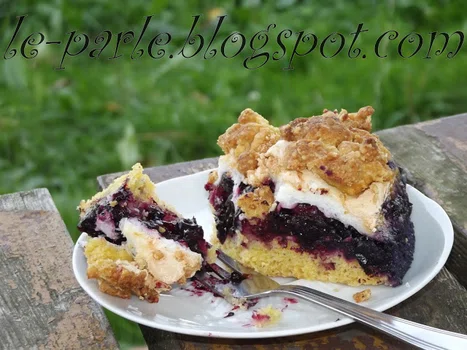 Pleśniak z czarną porzeczką