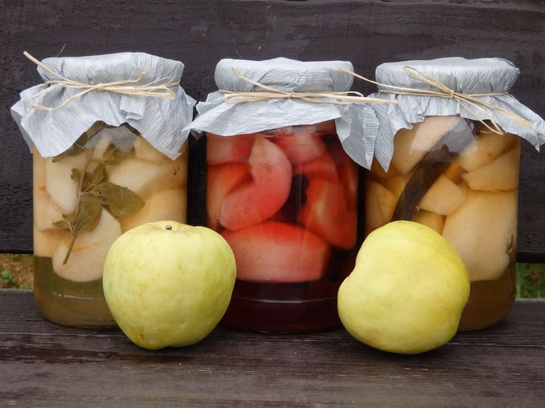 Kompot jabłkowy z dodatkami