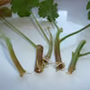 pora przygotować sadzonki pelargonii