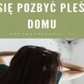 Jak się pozbyć pleśni w domu