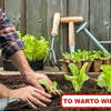 Najciekawsze TRIKI do ogrodu na WIOSNĘ!
