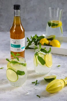 Free mojito (bezalkoholowe)