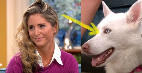 Ta kobieta twierdziła, że jej pies jest wegetarianinem! Jednak eksperyment kompletnie ją zaskoczył!