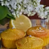 Muffinki cytrynowe