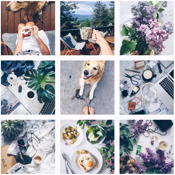 INSTAGRAM - MIGAWKI