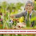 Wykorzystaj BIAŁY OCET w swoim OGRODZIE!