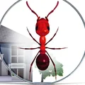 5 skutecznych sposobów na pozbycie się mrówek z domu?