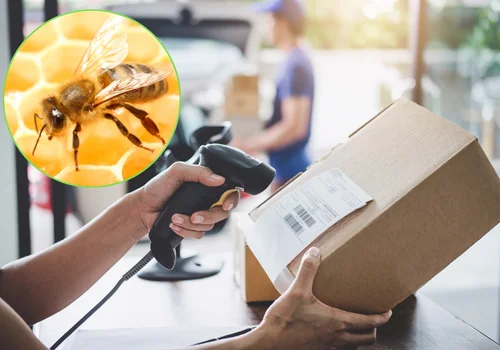 Poczta Polska zaskoczyła nową usługą! Nie uwierzysz, co teraz można wysłać!