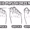 Zobacz jakie masz korzenie