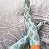 Skarpety w kaktusy