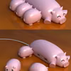 Świnka usb