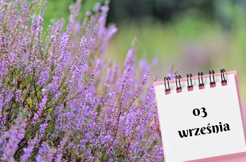 Kartka z kalendarza: 3 września - imieniny, gwiazdy, nietypowe święta! Odkryj sekrety tego dnia!