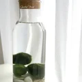Mini akwarium