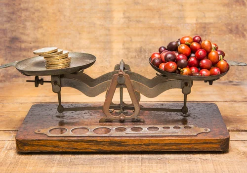 Światowy Dzień Sprawiedliwego Handlu: Dlaczego jest tak ważny?