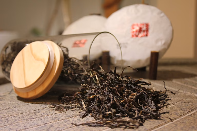 Yerba mate - poznaj jej cenne właściwości