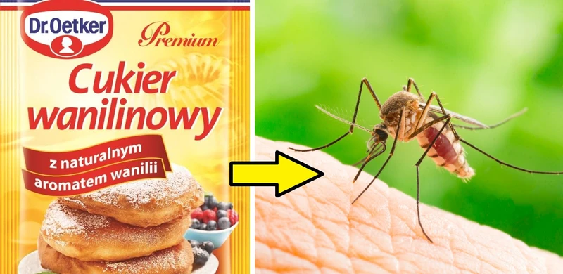 Cukier wanilinowy odstrasza komary! Sprawdź, jak go stosować