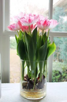 Tulipany w domu
