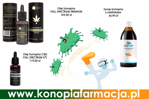 CBD w walce z COVID-19 – co mówią badania