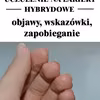 UCZULENIE NA HYBRYDĘ – objawy, wskazówki, zapobieganie