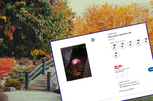 Te urocze solarne lampki z Lidla będą hitem jesieni! Tylko 26 zł, bez kabli i rachunków,  a efekt jak z zaczarowanego ogrodu