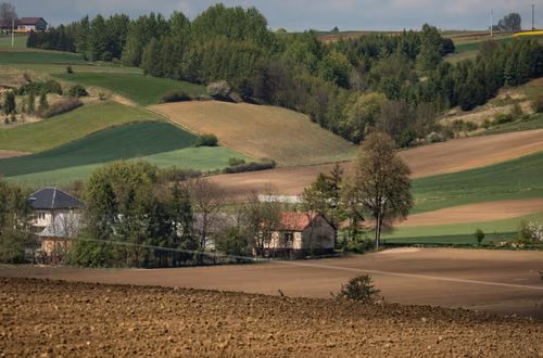 Rewolucyjne zmiany w świadczeniach dla sołtysów! Nowe prawo przyspiesza ważny dodatek