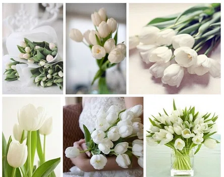 Kwiaty - biel