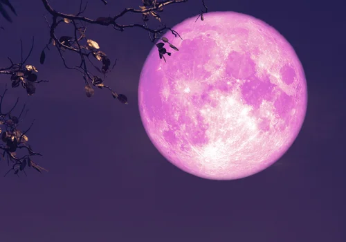 Nadchodzi pełnia różowego Księżyca! Co oznacza to zjawisko?