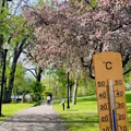 Nadchodzi fala ciepła, której nikt się nie spodziewał: IMGW zapowiada nawet 25°C!