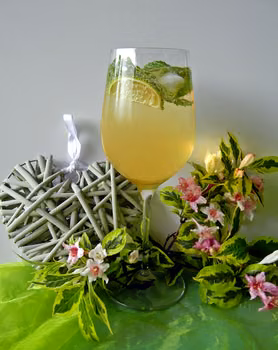 Hugo drink