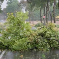 Silny wiatr uderzy w niemal całą Polskę. Alerty IMGW w 13 województwach!