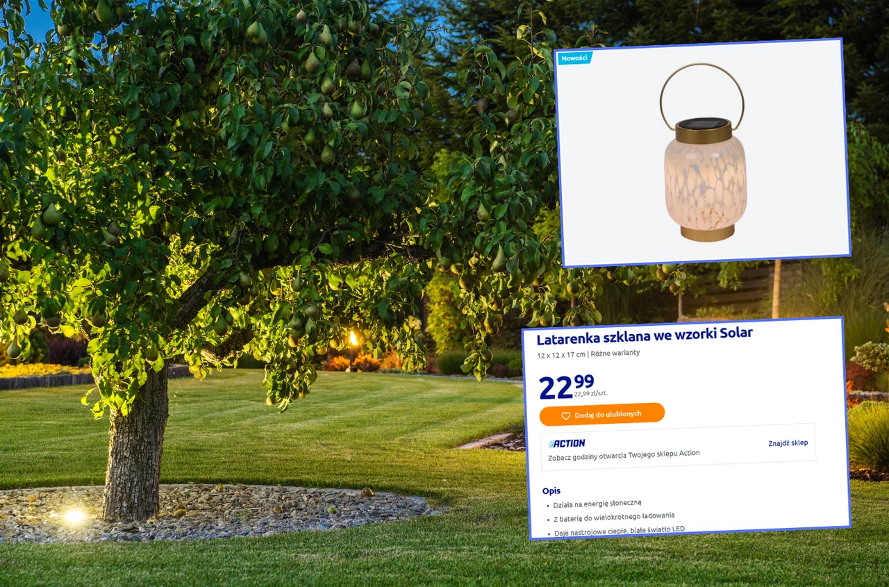 Latarenka solarna z Action za 22,99 zł to jesienny hit balkonów i ogrodów! Ciepłe światło, stylowy wzór i zero kabli!