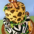 Torcik z Madagaskaru