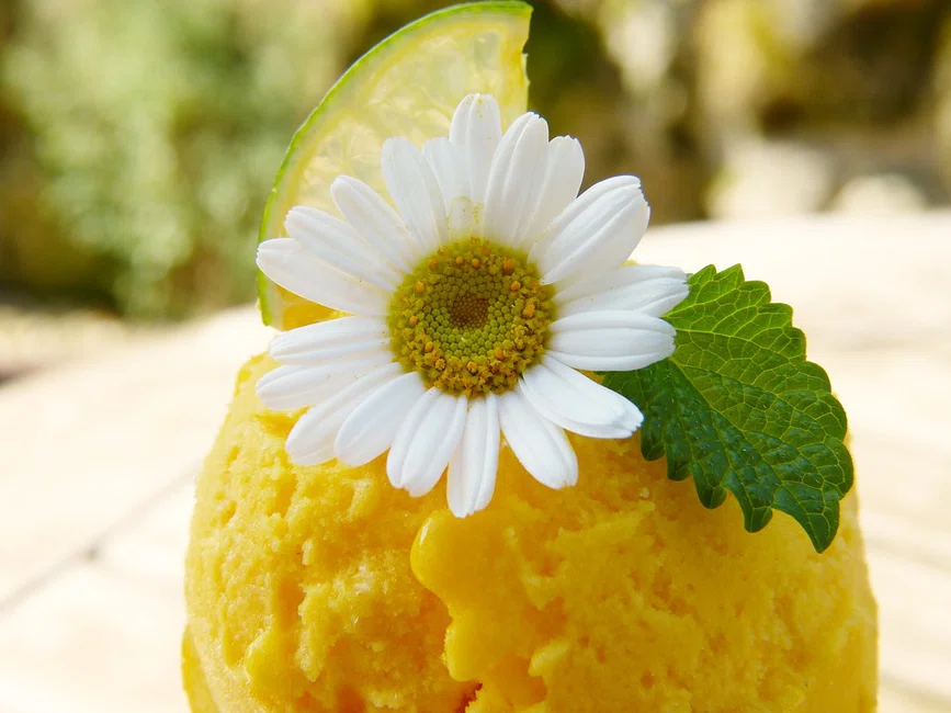Przepis na lody mango.