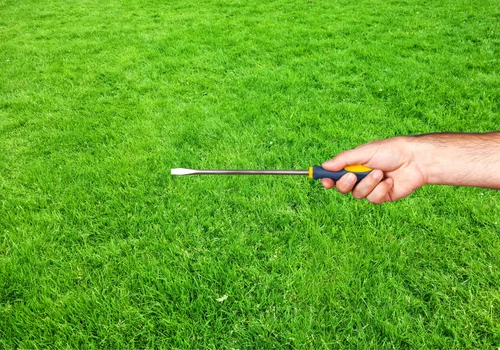 Uratuj swój trawnik! Tajemnicza Metoda z Użyciem Śrubokręta!