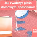 Jak skutecznie zwalczyć pleśń domowymi sposobami?