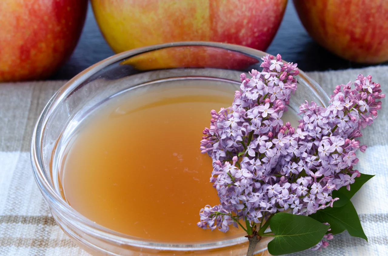 Włóż kwiaty bzu do octu jabłkowego – otrzymasz naturalny tonik i płukankę do włosów