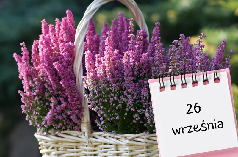 Kartka z kalendarza: 26 września - imieniny, gwiazdy, nietypowe święta! Odkryj sekrety tego dnia!