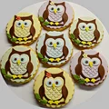 Ciasteczka z sową