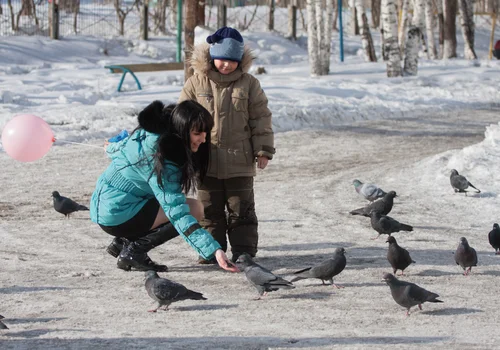 Mądre dokarmianie – jak uczyć dzieci troski o ptaki, nie szkodząc im przy okazji?