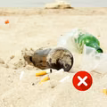 Czego nie można robić na plaży? Za co grozi nam mandat?