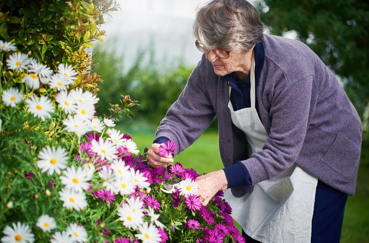 6900 zł co miesiąc bez względu na staż pracy! Od marca 2026 nowa kwota świadczenia z ZUS