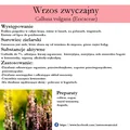 Wrzos zwyczajny działanie przeciwzapalne, odkażające układ moczowy i nie tylko!
